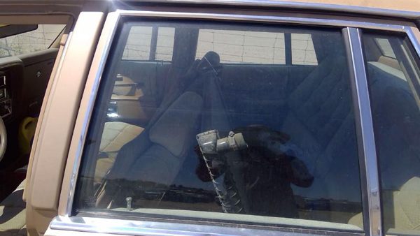 1985 Oldsmobile Delta 88 Rear Door Glass/window LH Olds Driver Left Side Window — photo 2