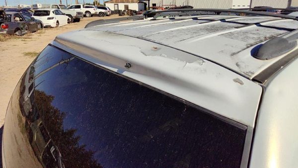 1998 Chrysler Town Cntry Trunk/decklid/hatch/tailgate Pwp Golden White Rust — photo 2