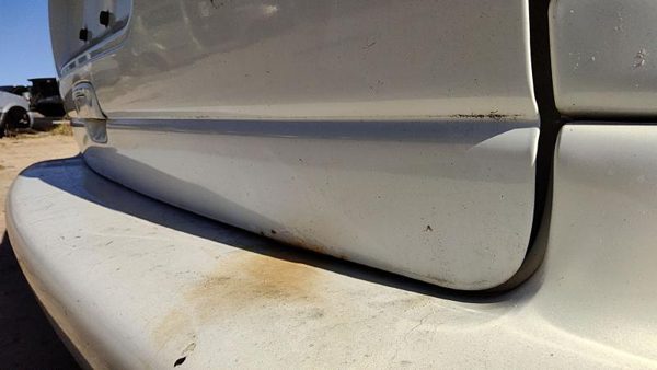 1998 Chrysler Town Cntry Trunk/decklid/hatch/tailgate Pwp Golden White Rust — photo 5