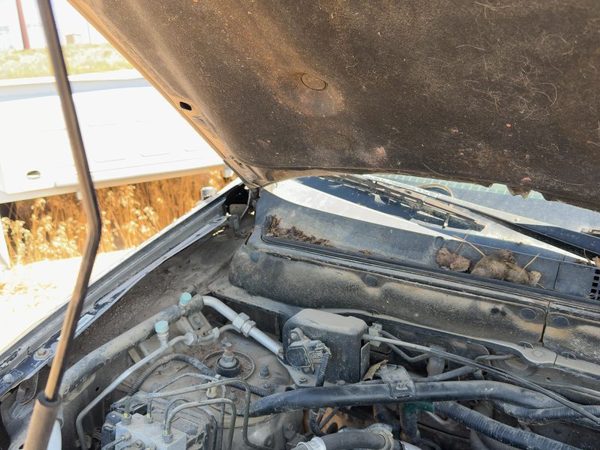 2002-2006 Honda Crv Pair Of Hood Hinges Right Left Set Assembly Oem Gold — photo 4