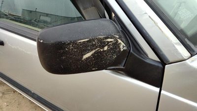 1991 Volvo 740 Passenger Right Side Mirror Door Mounted Oem 35343144