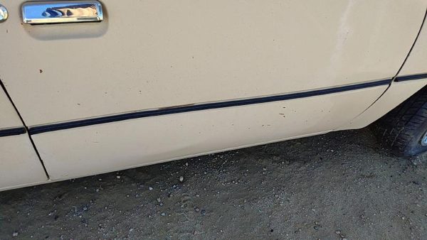 1984-1986 Ford Tempo Passenger Right Front Moulding From Door Oem Trim Strip — photo 1