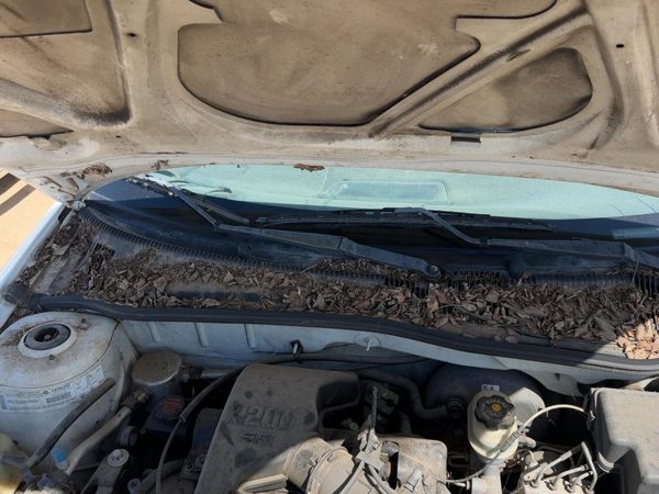 2000-2005 Chevy Cavalier Windshield Wiper Cowl Vent Trim Panel Oem Cover — photo 3