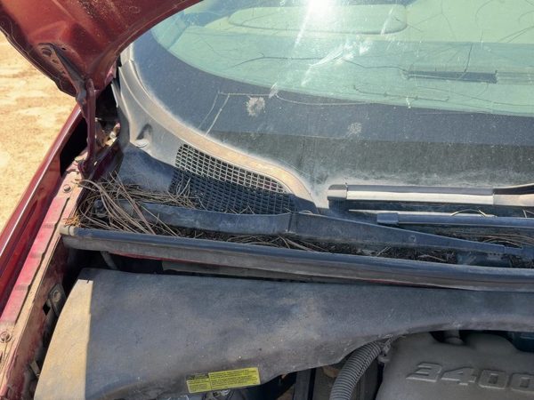 1997-2005 Chevy Venture Windshield Wiper Cowl Vent Trim Panel Oem Cover — photo 5