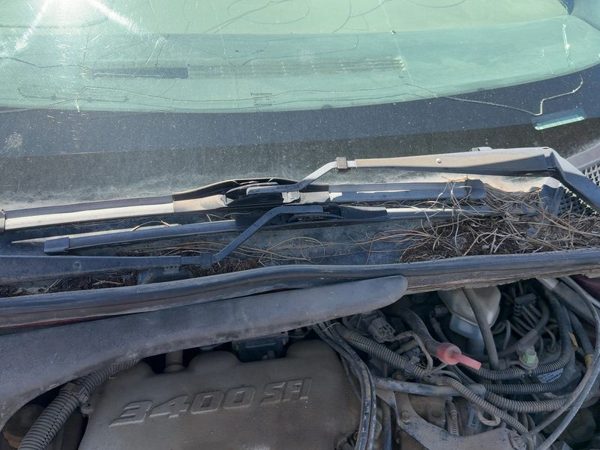 1997-2005 Chevy Venture Windshield Wiper Cowl Vent Trim Panel Oem Cover — photo 2