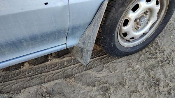 1988-1991 Honda Civic Passenger Right Front Mud Flap Rock Guard Oem — photo 1