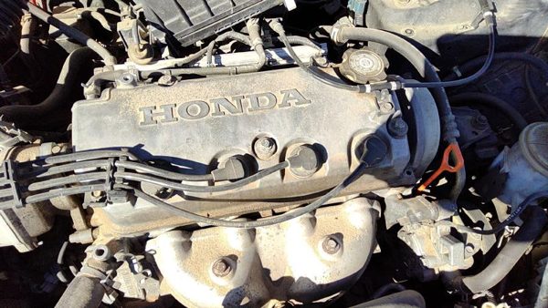 1996-2000 Honda Civic Valve Cover Oem Coupe 1.6L 12310P2a000 — photo 1