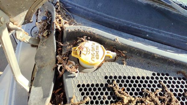 01-10 Chrysler Pt Cruiser Windshield Washer Fluid Reservoir With Pump Wiper Tank — photo 1
