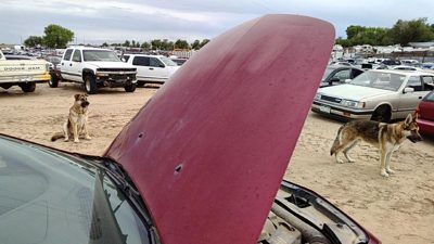 2009 Chevrolet Malibu Hood Red 80U