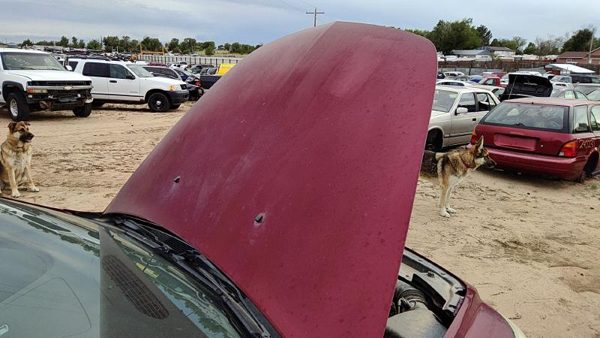2009 Chevrolet Malibu Hood Red 80U — photo 3