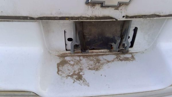1991-1996 Chevy Caprice Fuel Tank Door With Hinge Gas Lid Oem Filler White — photo 6