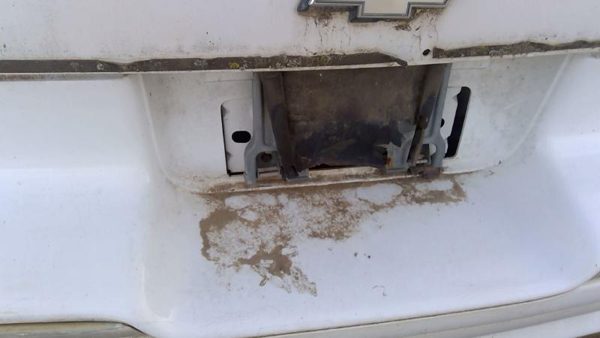 1991-1996 Chevy Caprice Fuel Tank Door With Hinge Gas Lid Oem Filler White — photo 7