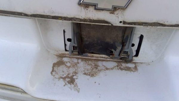 1991-1996 Chevy Caprice Fuel Tank Door With Hinge Gas Lid Oem Filler White — photo 3