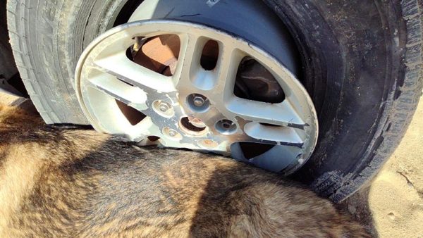 2002-2004 Jeep Grand Cherokee 16 Aluminum Wheel Oem Factory Rim 5 Spoke #4 — photo 4