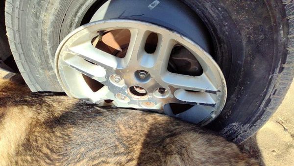 2002-2004 Jeep Grand Cherokee 16 Aluminum Wheel Oem Factory Rim 5 Spoke #4 — photo 3