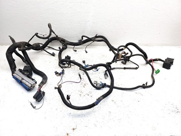 00-05 Buick Lesabre Wiring Harness For Engine Oem 3.8L — photo 1