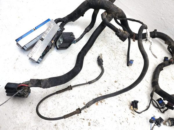 00-05 Buick Lesabre Wiring Harness For Engine Oem 3.8L — photo 3
