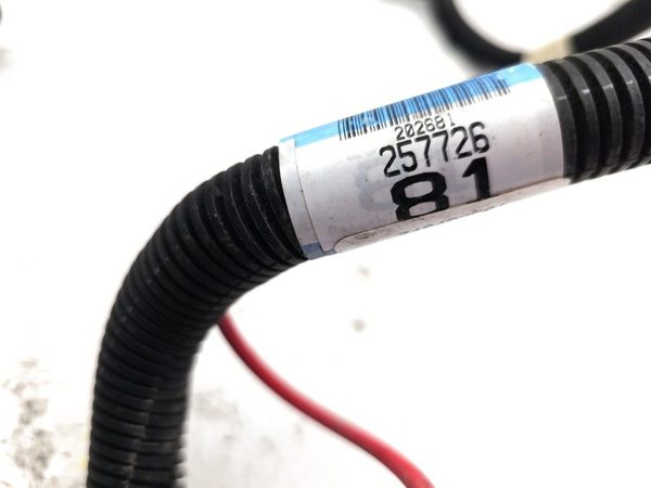 00-05 Buick Lesabre Wiring Harness For Engine Oem 3.8L — photo 10