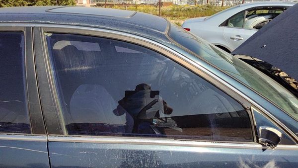 1998-2002 Honda Accord Passenger Right Front Side Window Door Glass Oem 5443452 — photo 3