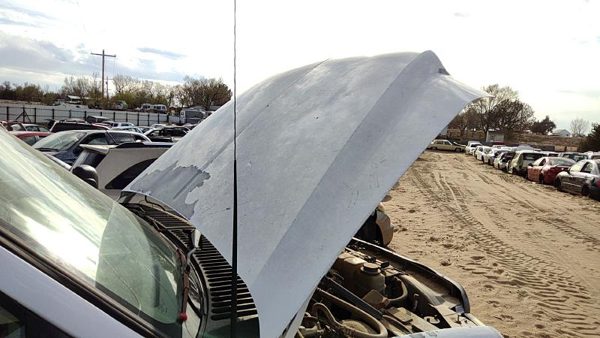 2000 Ford F250 Hood White — photo 1