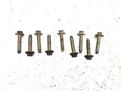 2001-2004 Ford F150 Set Of Bolts For Intake Manifold Oem Hardware 4.6L