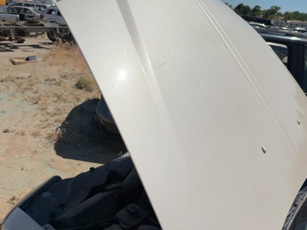 2001 Lincoln LS Hood Ivory Parchment Hc — photo 1