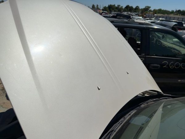 2001 Lincoln LS Hood Ivory Parchment Hc — photo 4