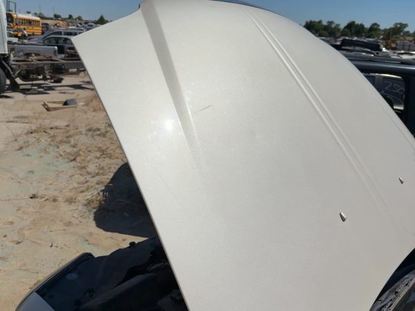2001 Lincoln LS Hood Ivory Parchment Hc — photo 3