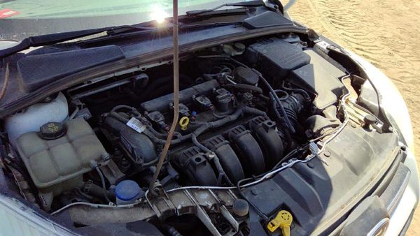 2014 Ford Focus — vehicle photo 8