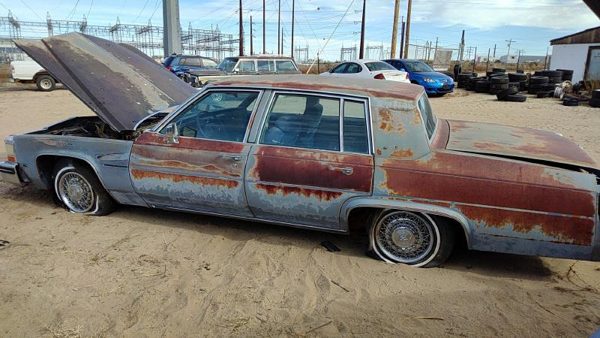 1984 Cadillac Deville — vehicle photo 4