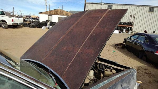 1979 Chevy Caprice Hood Assembly 356643 — photo 1