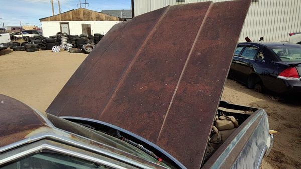 1979 Chevy Caprice Hood Assembly 356643 — photo 6