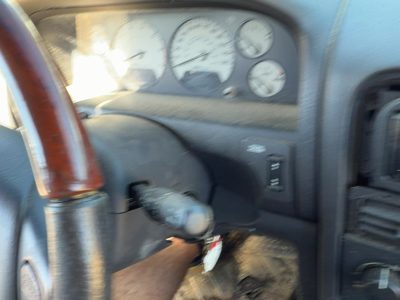 99-04 Grand Cherokee Steering Column Assembly Oem Floor Shift Rain Sensor Gray