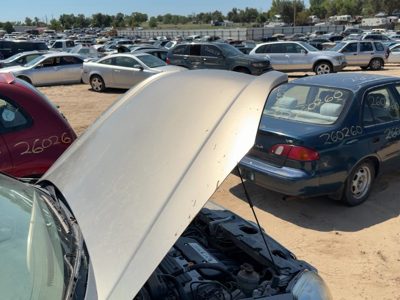2005 Honda CR-V Hood Gold