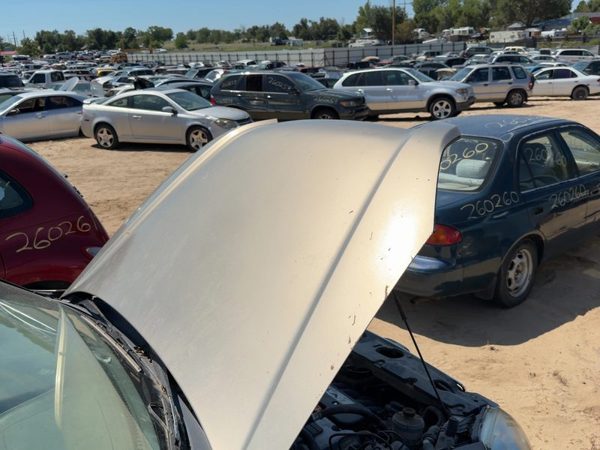 2005 Honda CR-V Hood Gold — photo 3