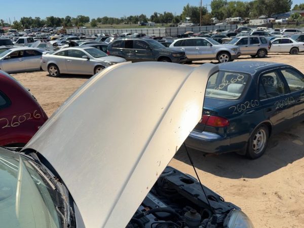 2005 Honda CR-V Hood Gold — photo 4