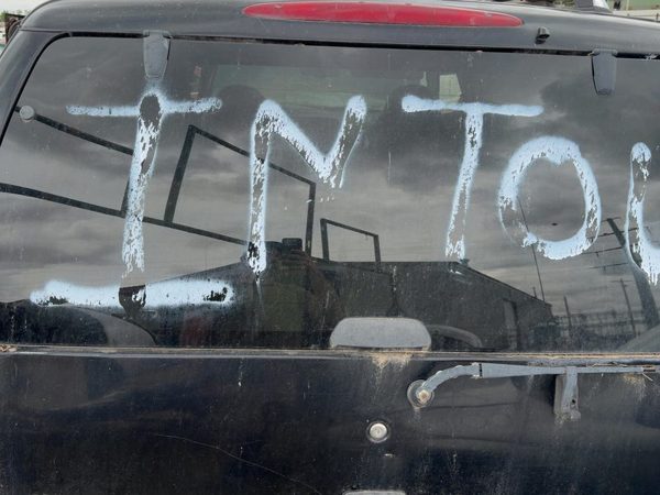 1997-2002 Ford Expedition Back Glass Rear Window Oem F75Z7842006Ca — photo 2