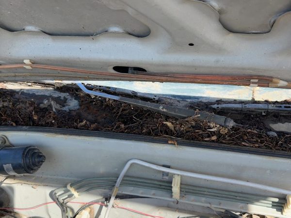 1990-1995 Isuzu Pup Passenger Right Windshield Wiper Arm Oem Blade Lever — photo 4