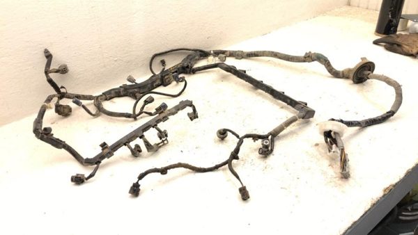 04-05 Honda Civic Hatchback Si Wiring Harness For Engine Oem 2.0L K20A3 Mt — photo 3