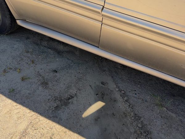 00-05 Lesabre Passenger Right Lower Rocker Panel Moulding Custom Bronzemist 54U — photo 6