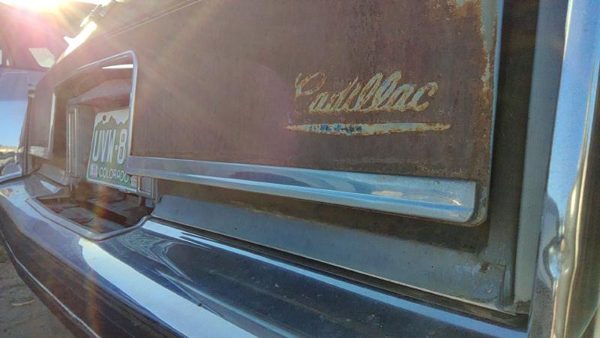 1980-1984 Deville Sedan Chrome Rear Trim On Trunk Oem Deck Lid — photo 6