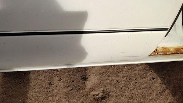 97-03 Regal Passenger Right Rear Lower Moulding From Door Back Trim White 16U — photo 5