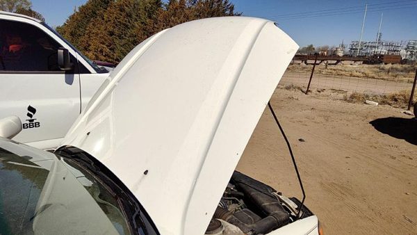 2000 Subaru Legacy Hood White 8Y3 — photo 2