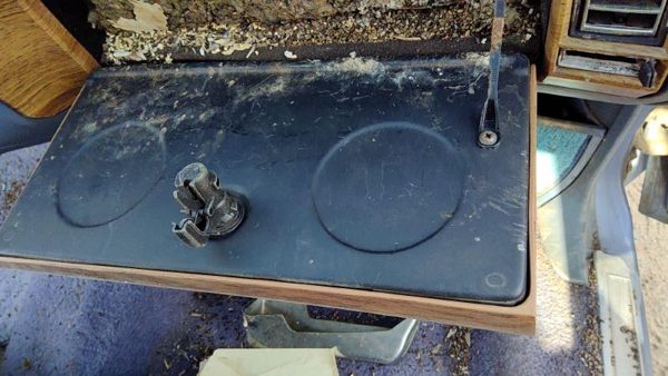 1980-1984 Deville Sedan Glove Box Assembly Complete Door With Latch Oem — photo 3