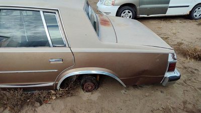 1981 Chevrolet Malibu Quarter Panel LH 20269736
