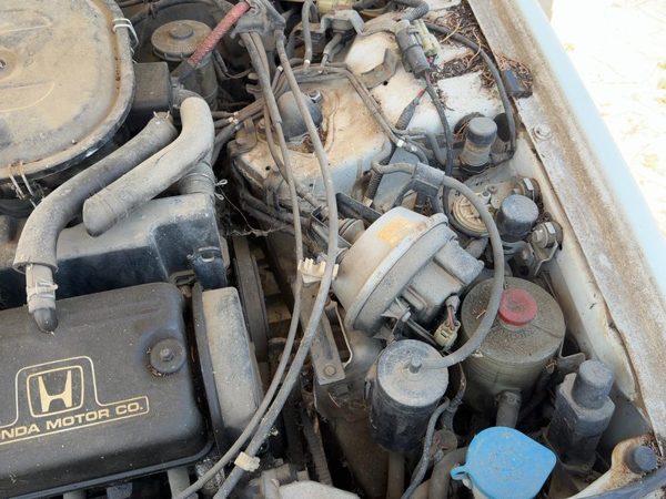 88-89 Accord Lx Cruise Control Servo Assembly Module With Cable Oem Automatic — photo 1