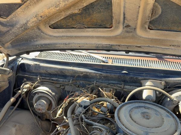 1981 Dodge D150 Windshield Wiper Cowl Vent Trim Panel Oem Cover — photo 2