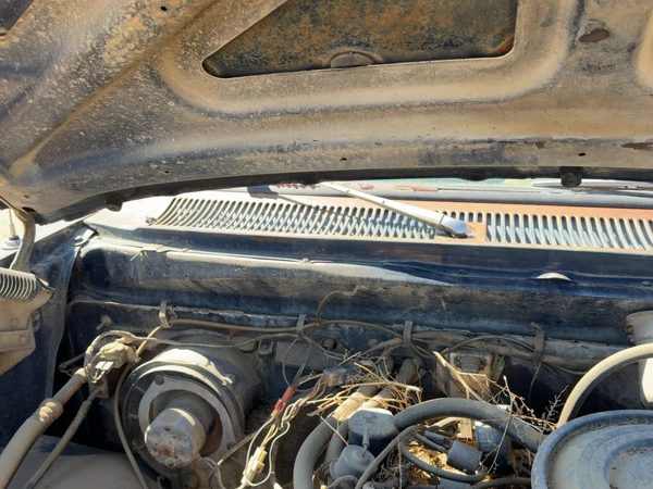 1981 Dodge D150 Windshield Wiper Cowl Vent Trim Panel Oem Cover — photo 4