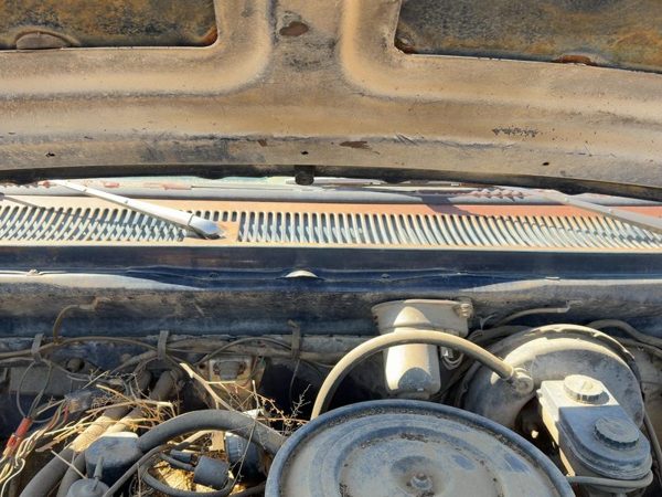 1981 Dodge D150 Windshield Wiper Cowl Vent Trim Panel Oem Cover — photo 5