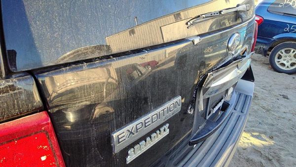 2008 Ford Expedition Trunk/decklid/hatch/tailgate Ua Black — photo 6